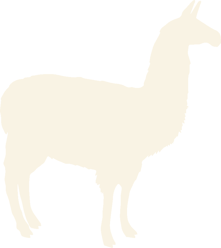 Tina the llama